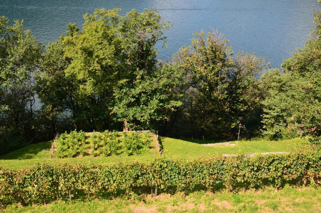 Tra Lago E Montagna Baita La Morena Nesso Exterior photo